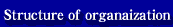 Structure of orgnaization