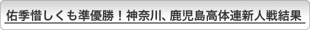CGɂDI_ސA̘AVl팋