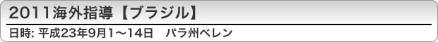 2011COwyuWz